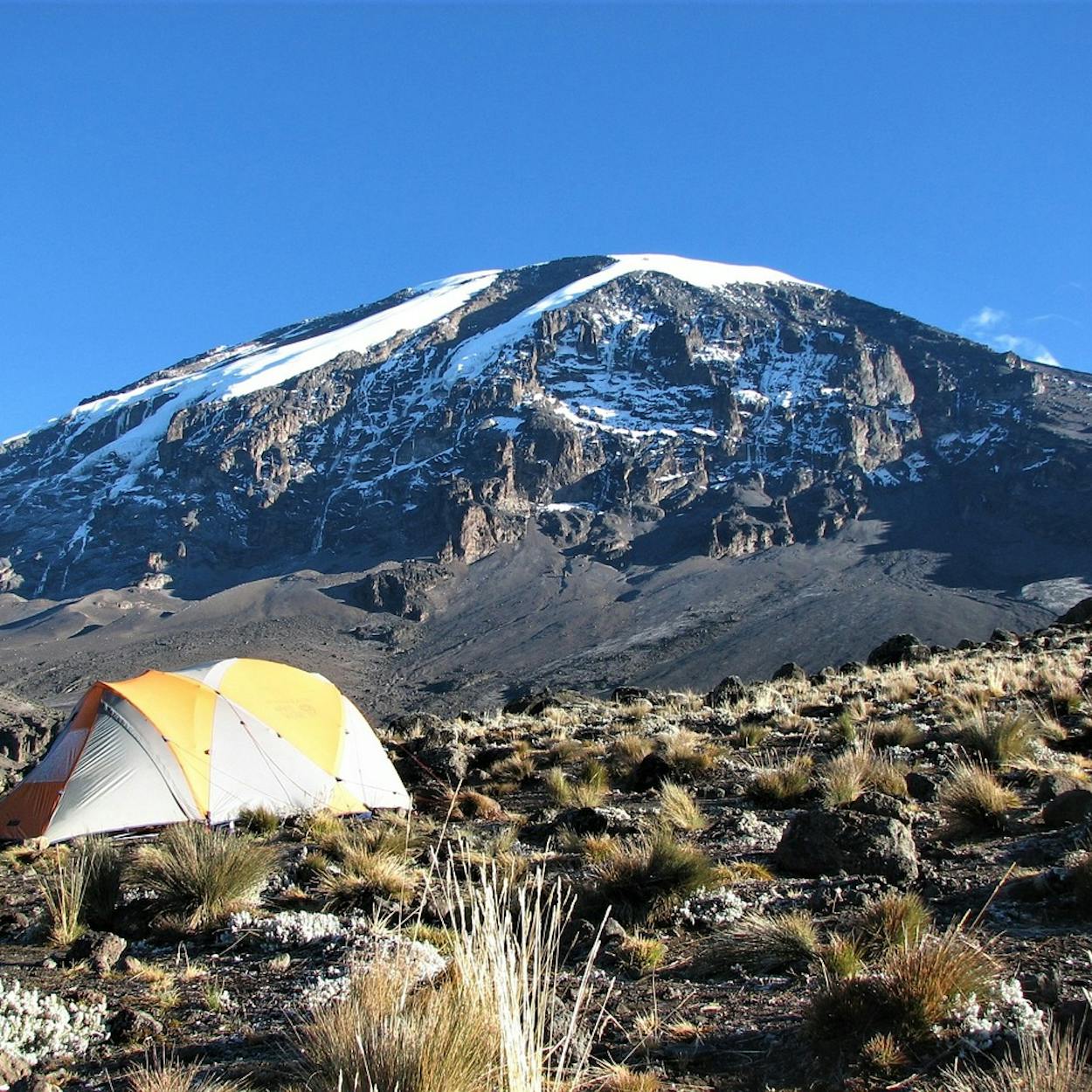 Kilimanjaro