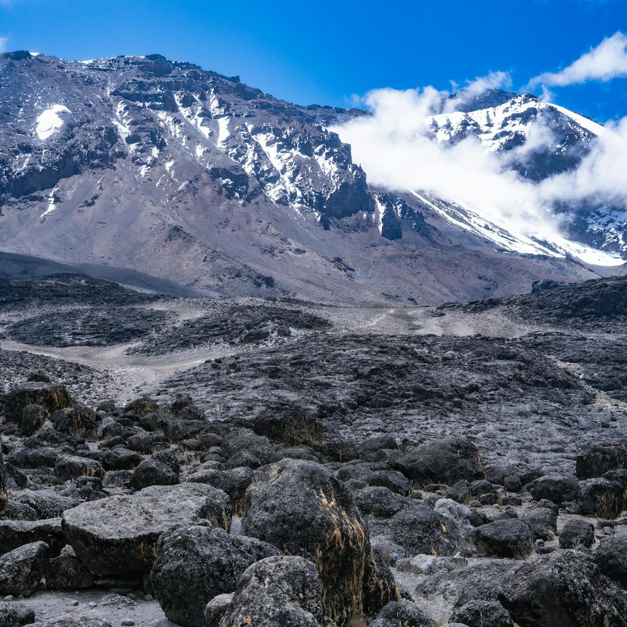 Kilimajaro