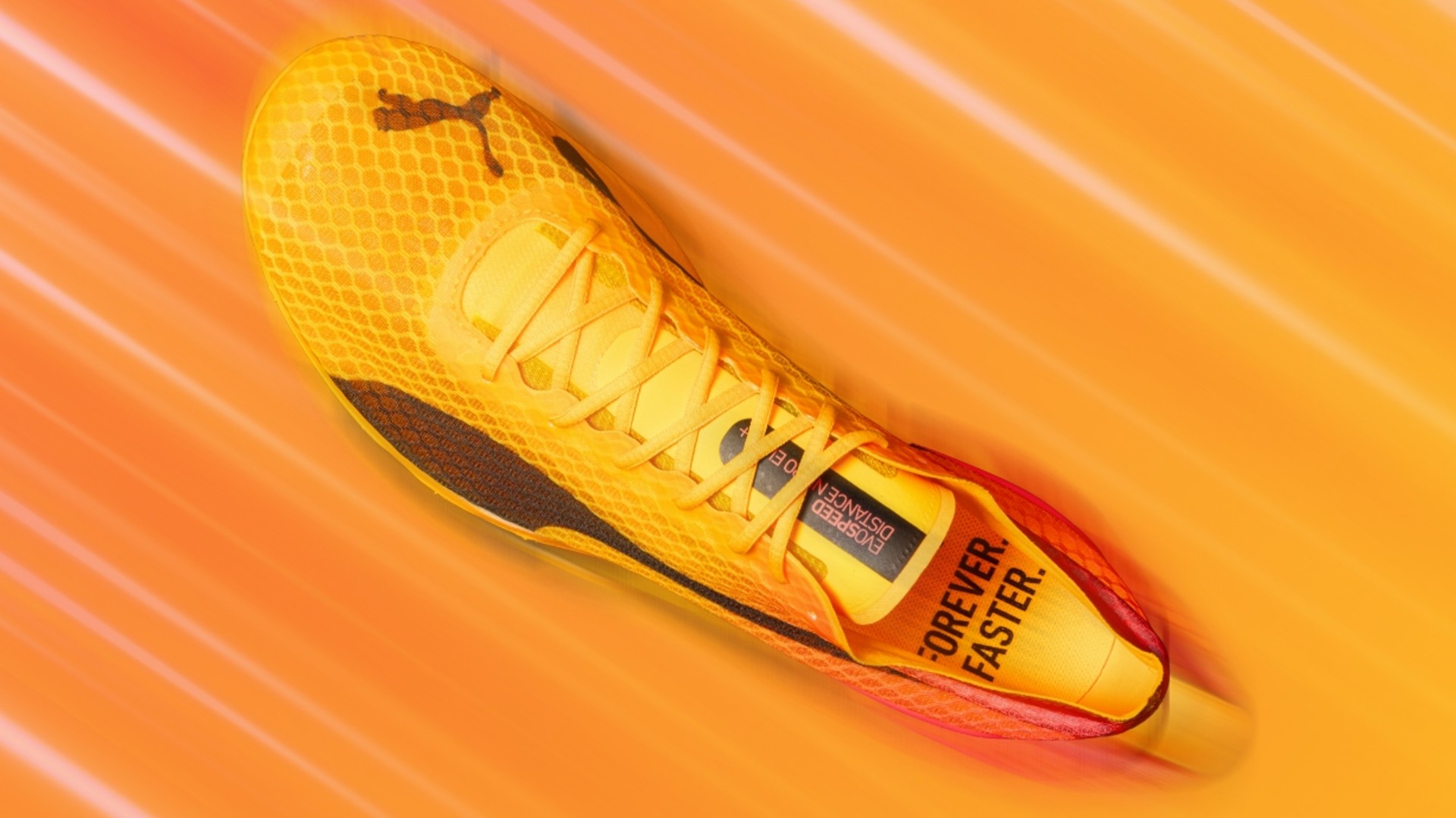 Puma evoSPEED Nitro Elite Plus 4 Running Spikes - SS25