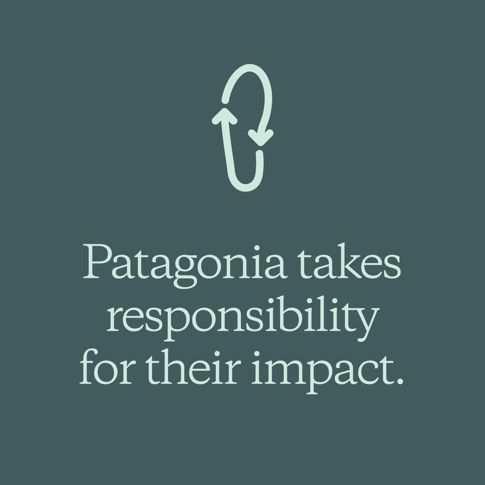 Patagonia takes responsibility for their impact