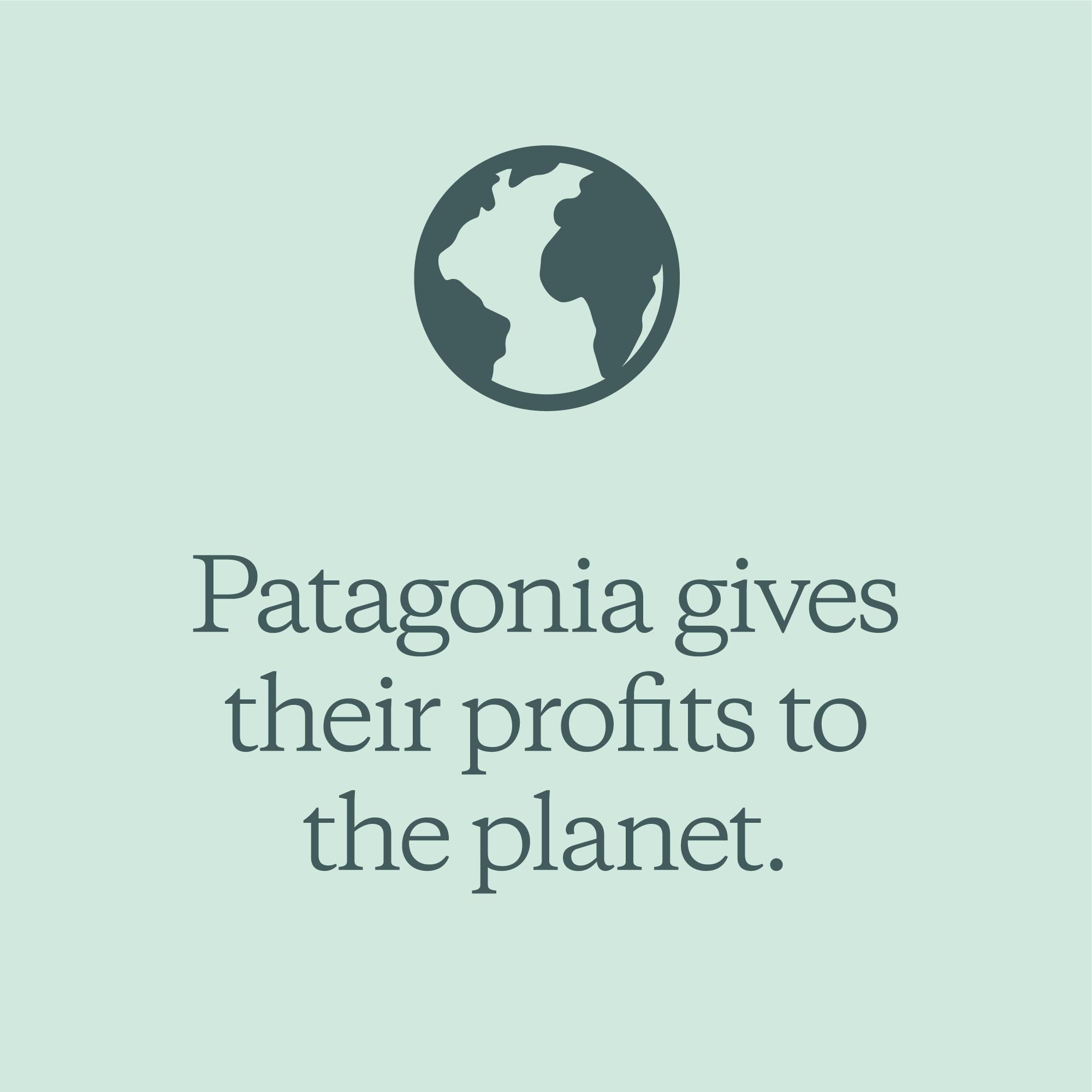 Patagonia gives their profits to the planet