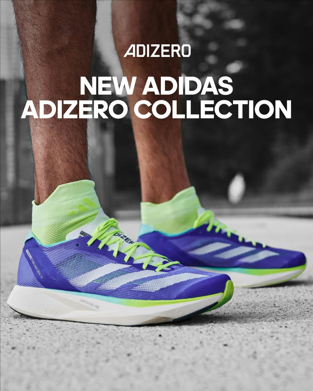 adidas Adizero Collection