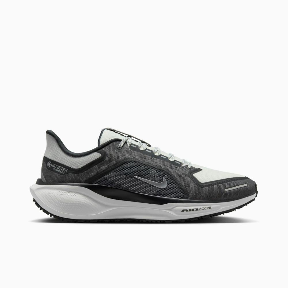 Nike Pegasus GTX