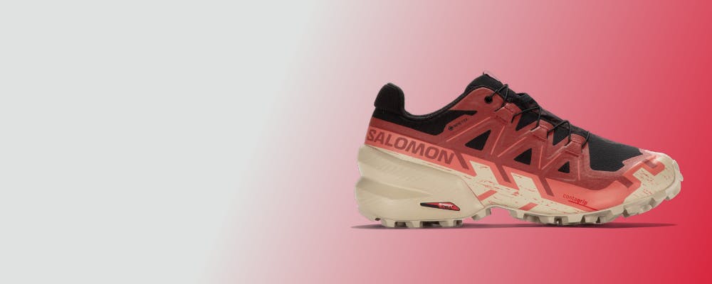 SALOMON  SPEEDCROSS 6 GTX