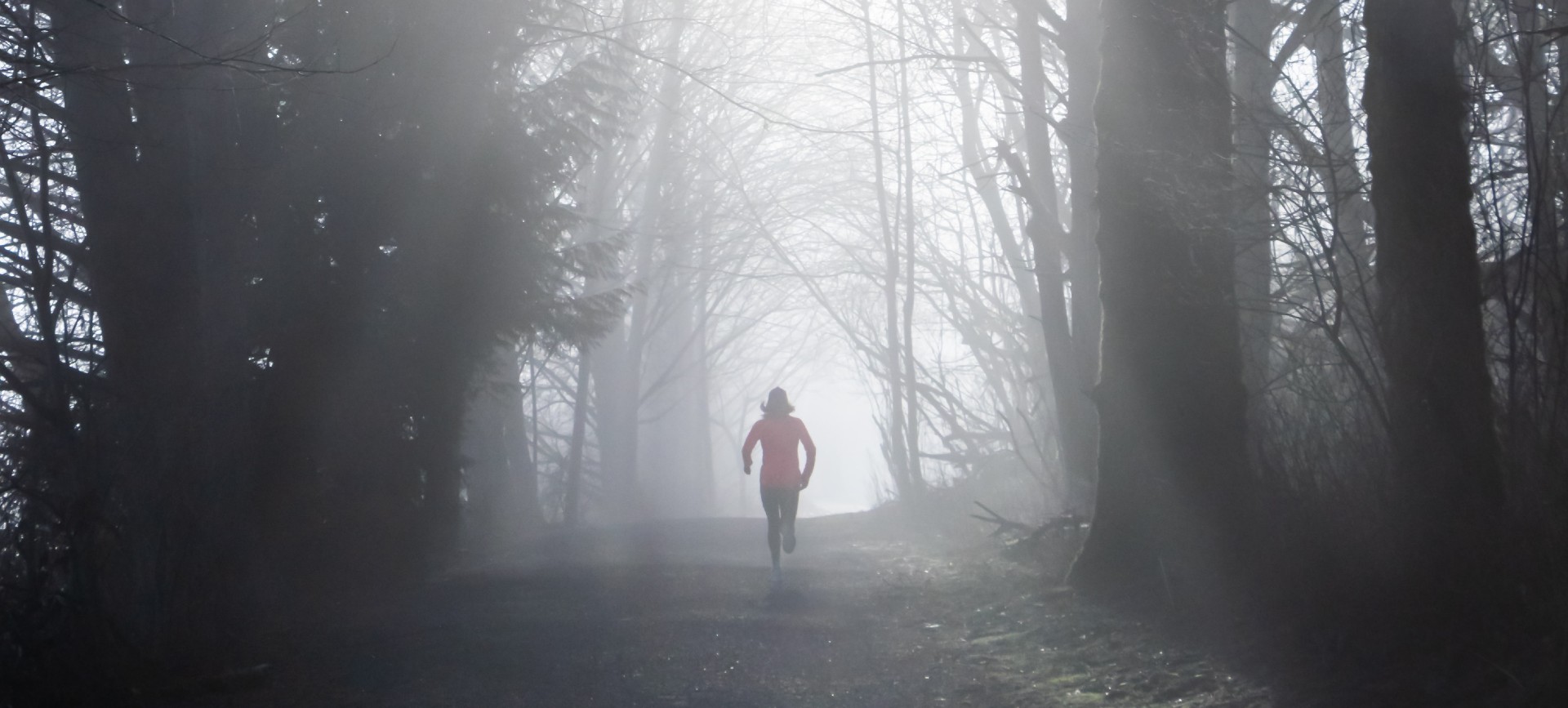 what-kit-do-you-need-for-trail-running