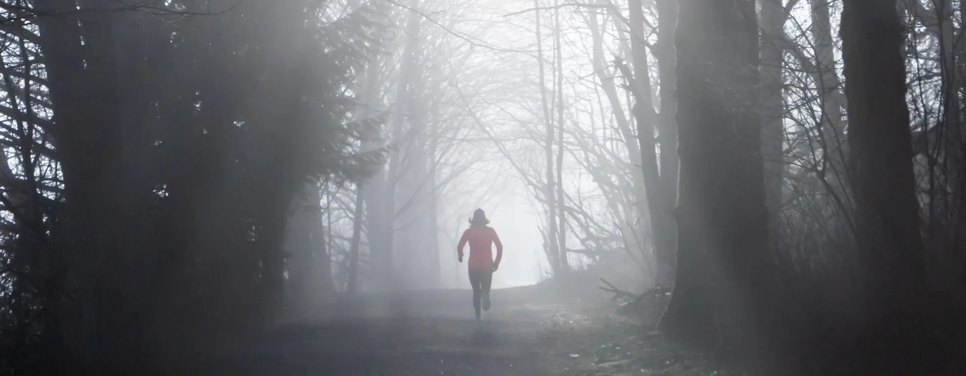 what-kit-do-you-need-for-trail-running