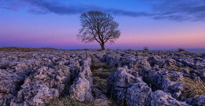  10 of the best walking & running trails in the Yorkshire Dales