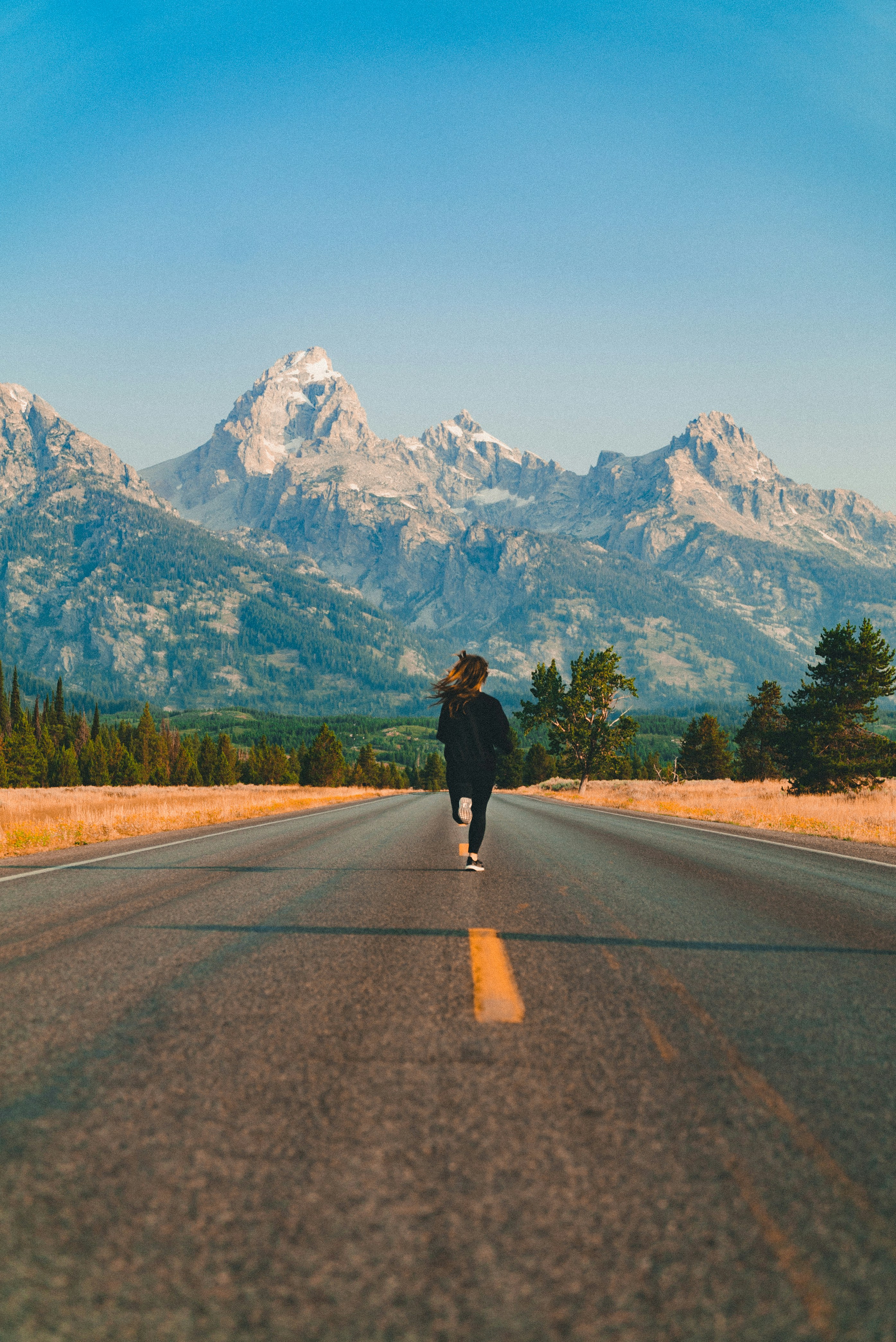 road-runner-in-front-of-mountain