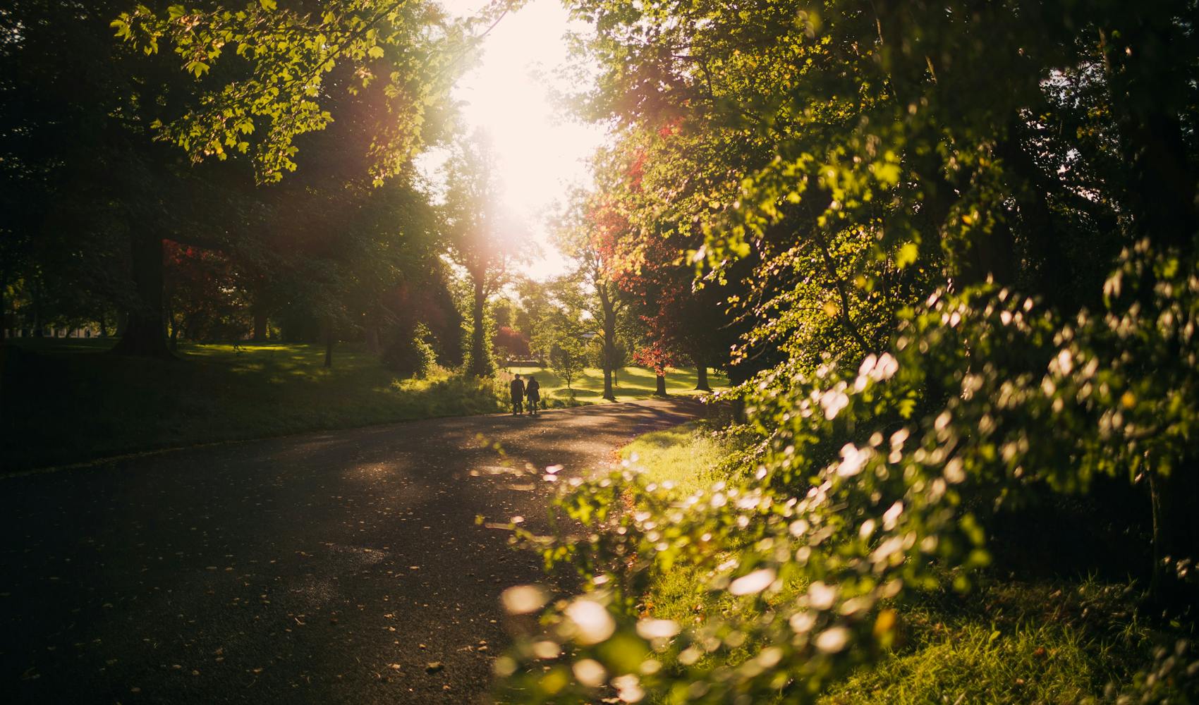 Urban Exploring: The Best City Breaks for Hikers