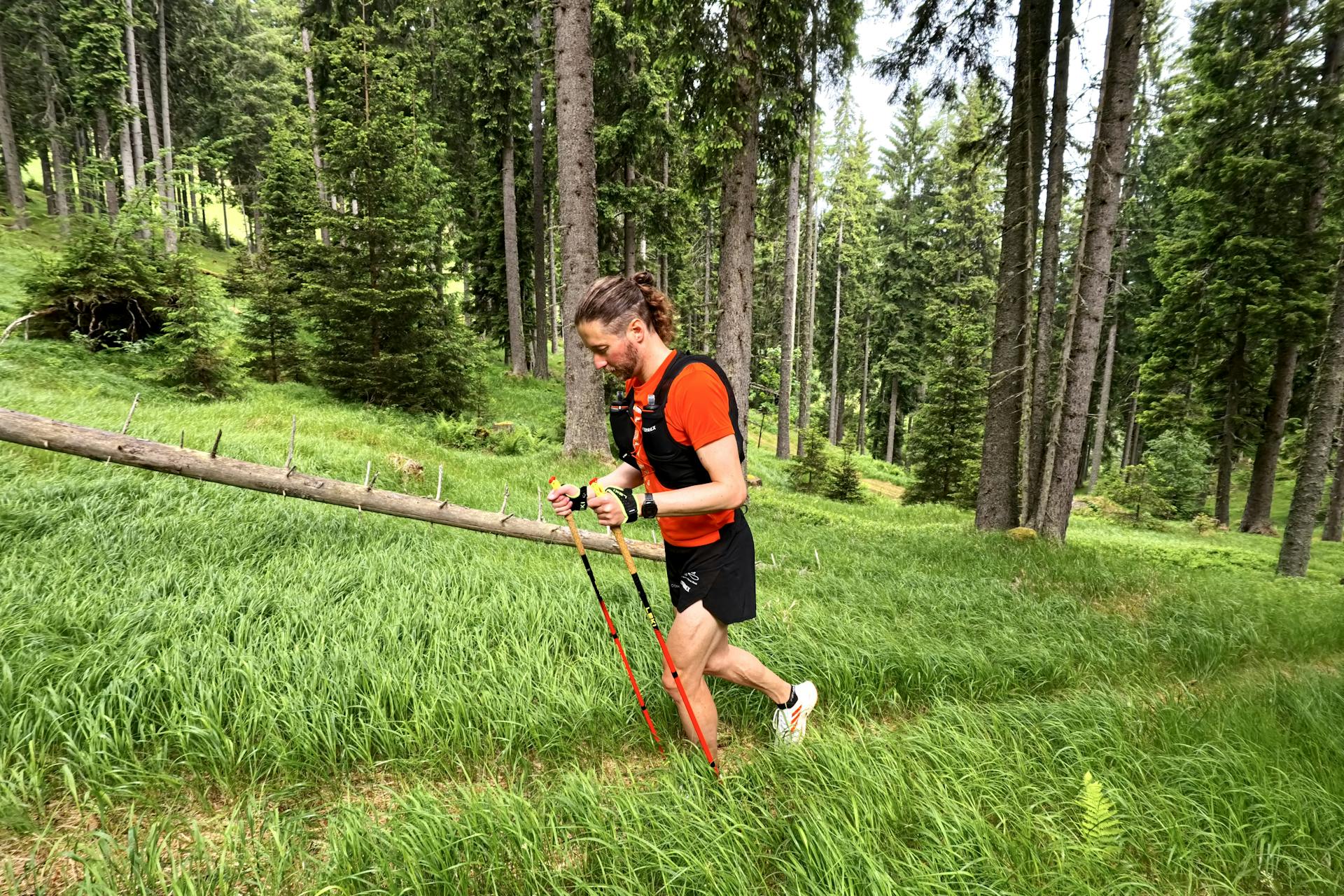 bastoncini-da-trail-running