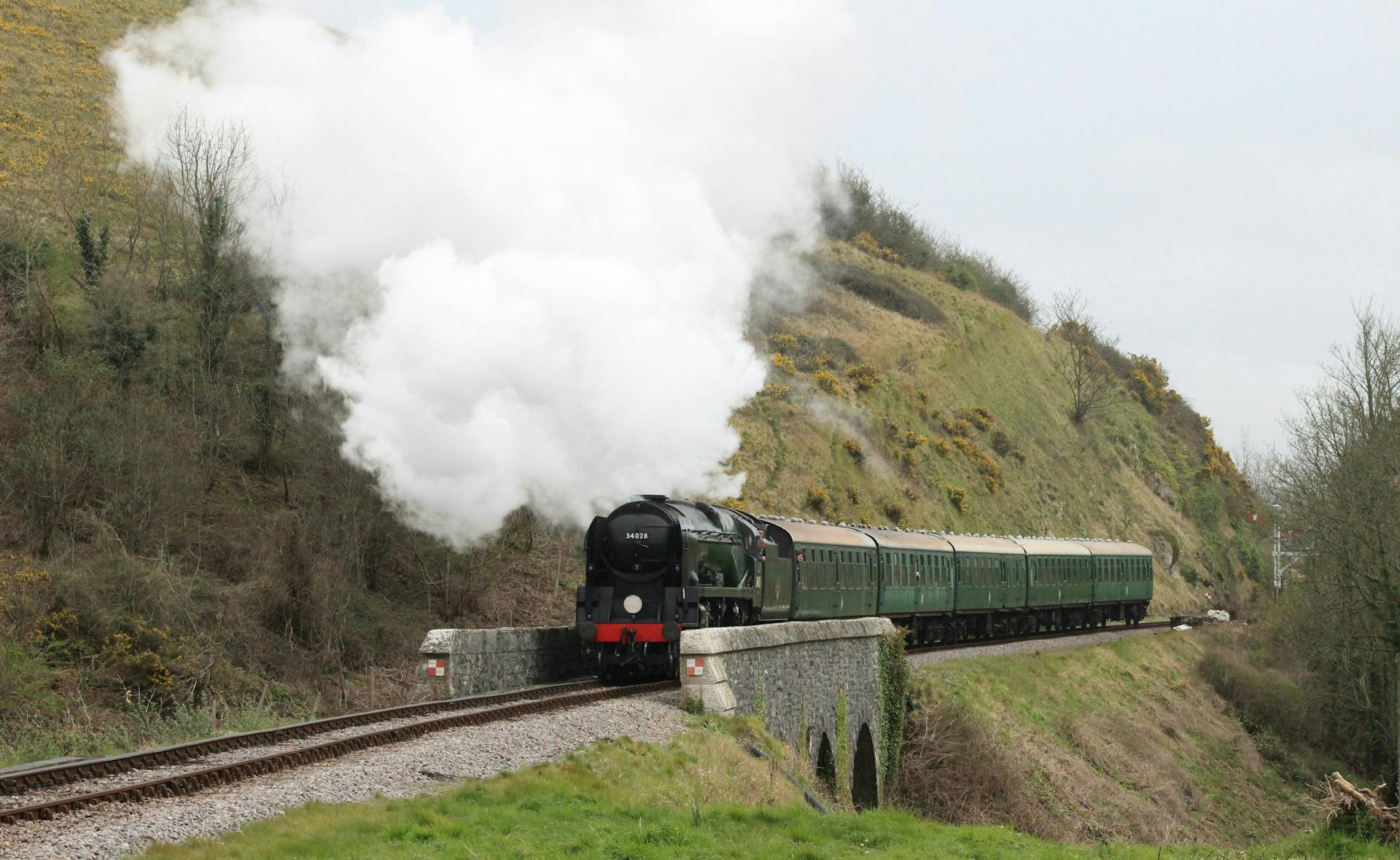 race-the-train