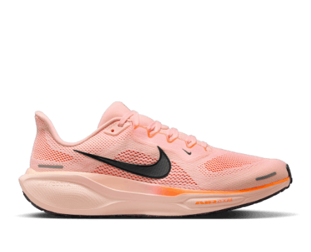Nike Pagasus