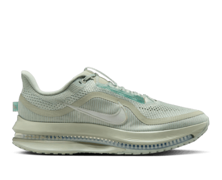 Nike Pegasus premium 