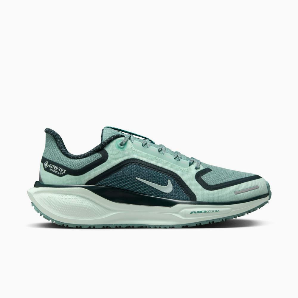 NIKE PEGASUS 41 GTX