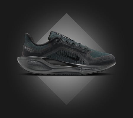 Nike - Pegasus 41 GTX