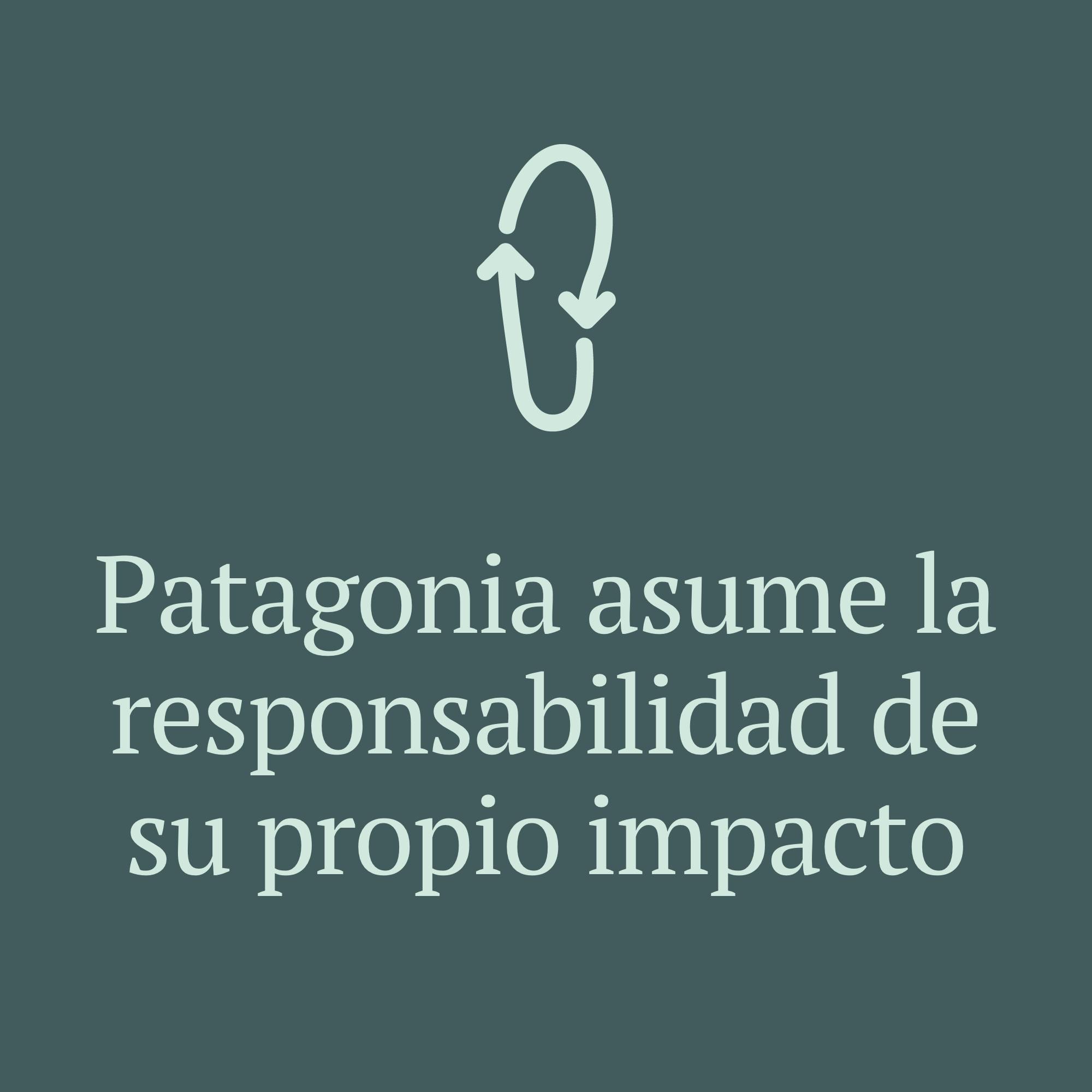 Patagonia asume la responsabilidad de su propio impacto