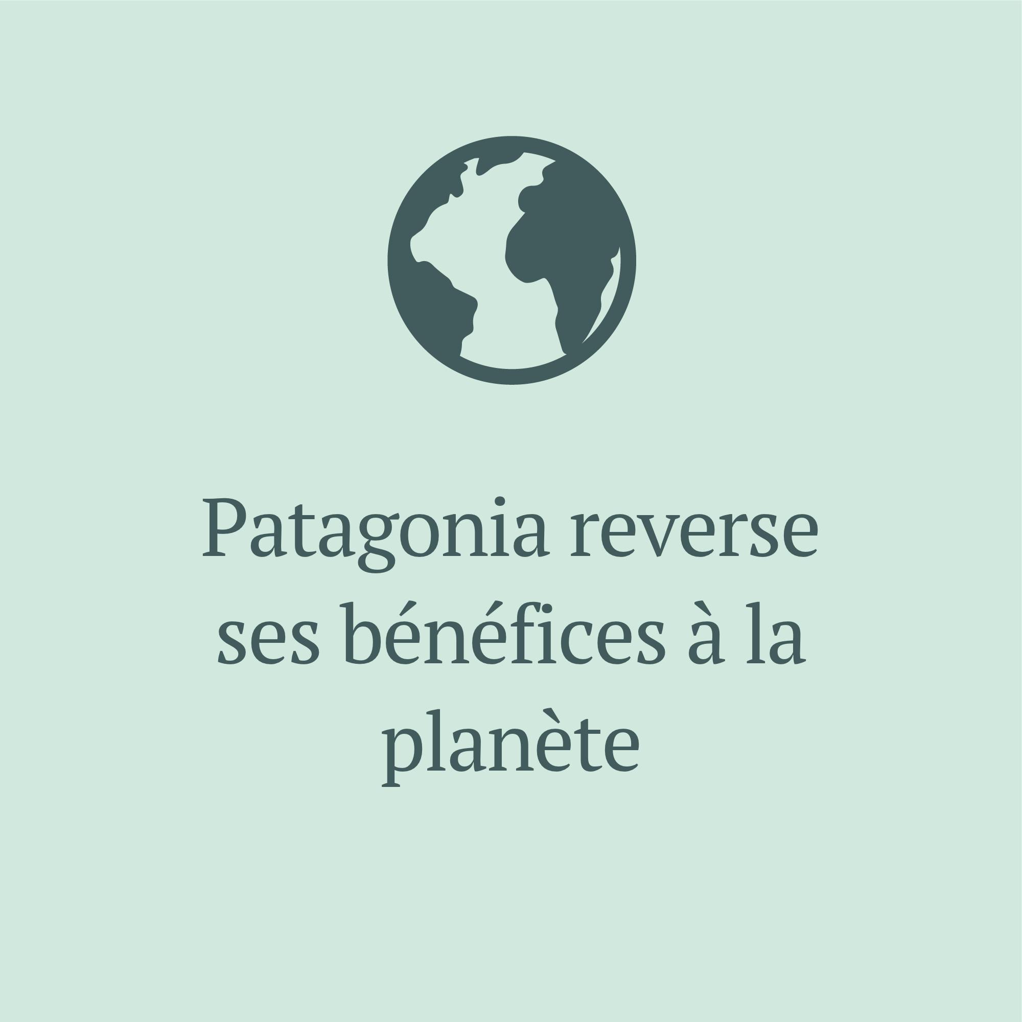 Patagonia reverse ses bénéfices à la planète