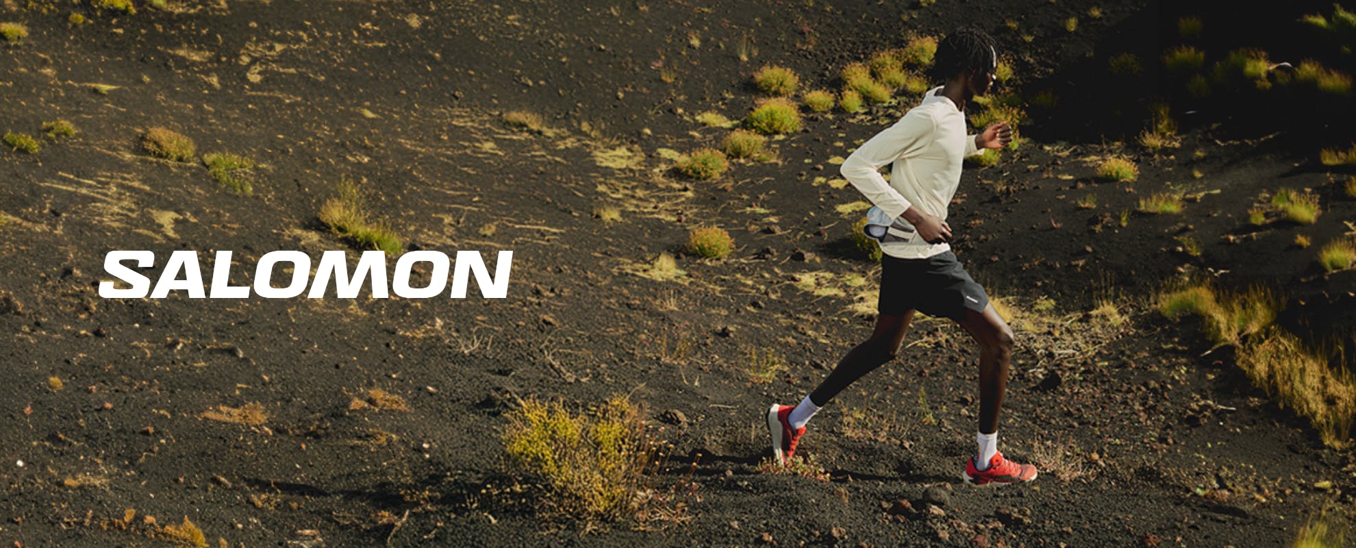 Salomon