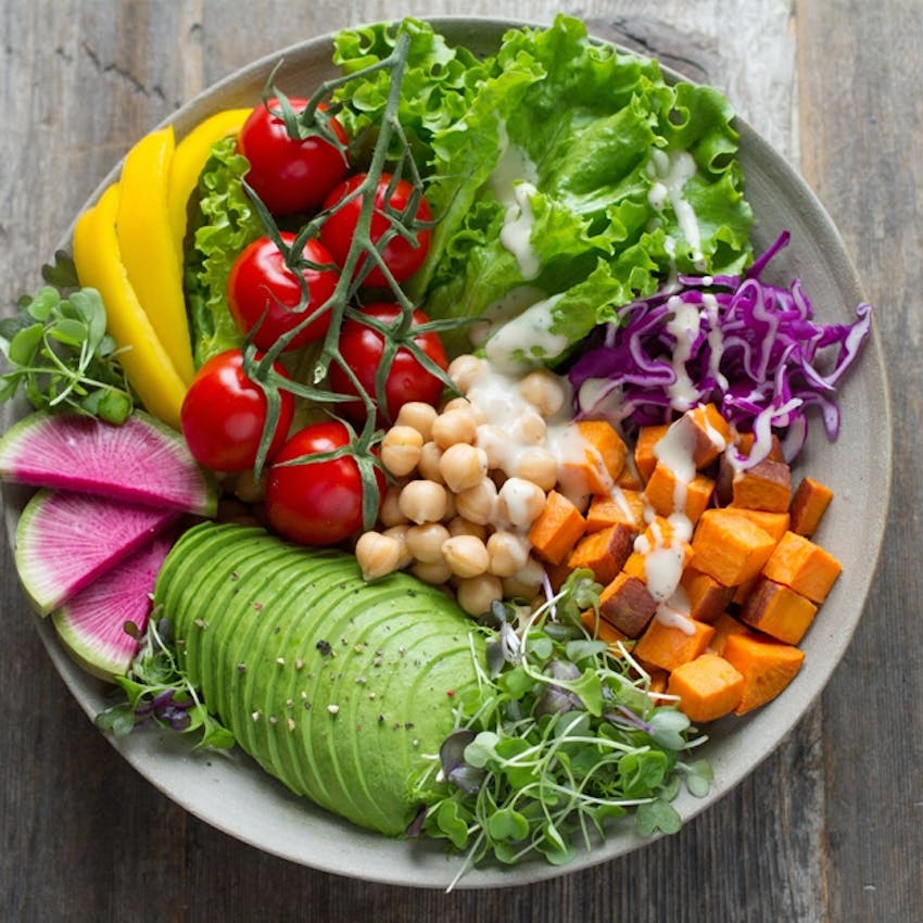 Article thumbnail for Tipps für eine proteinreiche vegetarische Ernährung