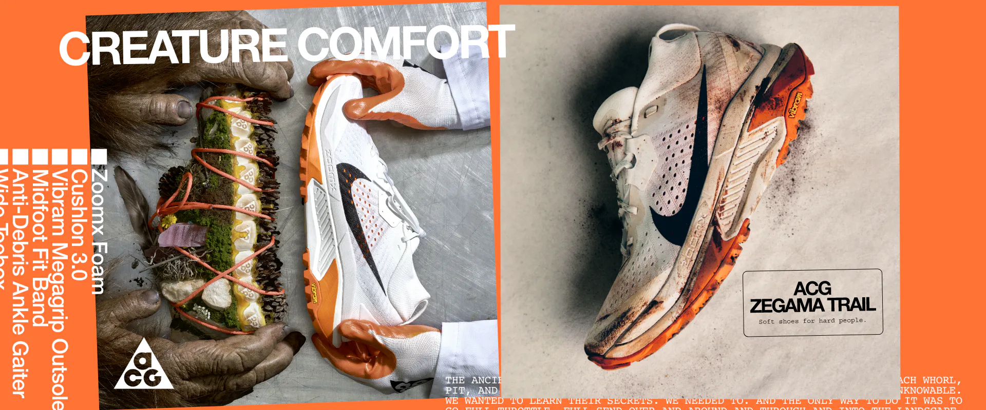 Nike ACG Zegama Trai