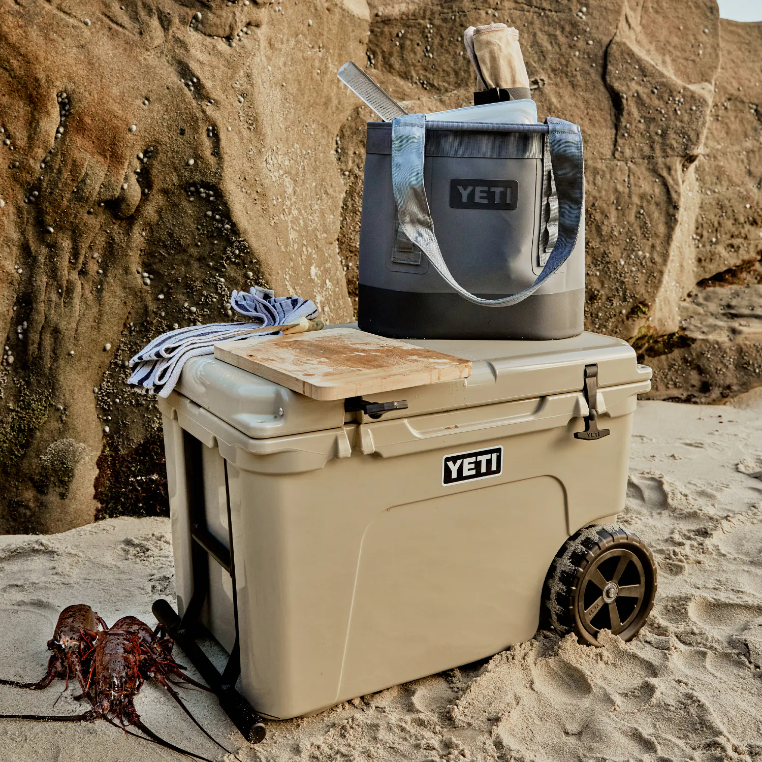 Shop Coolers