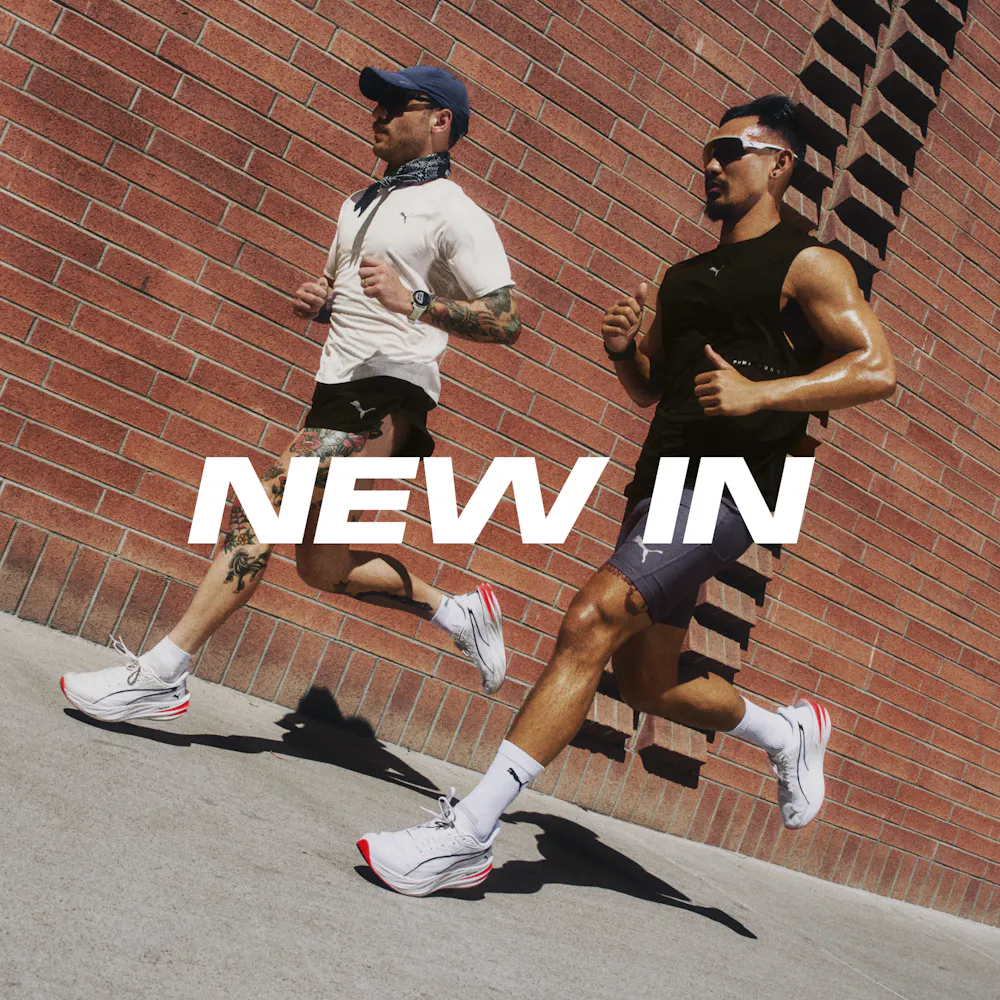 NEW IN 