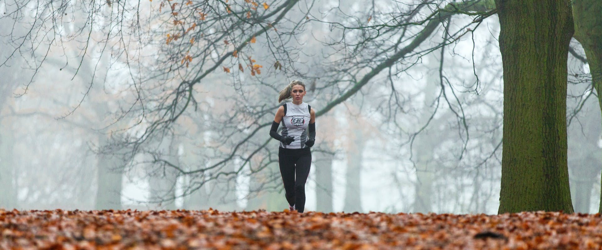 christmas-festive-races-2022