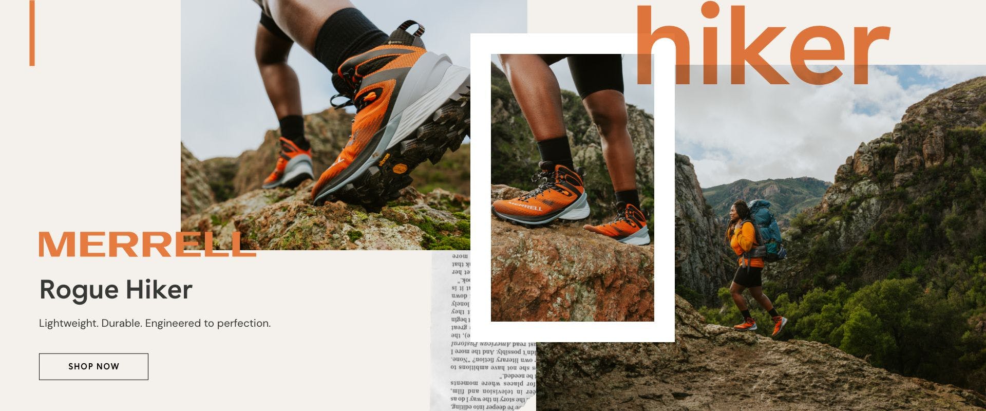 Rogue Hiker