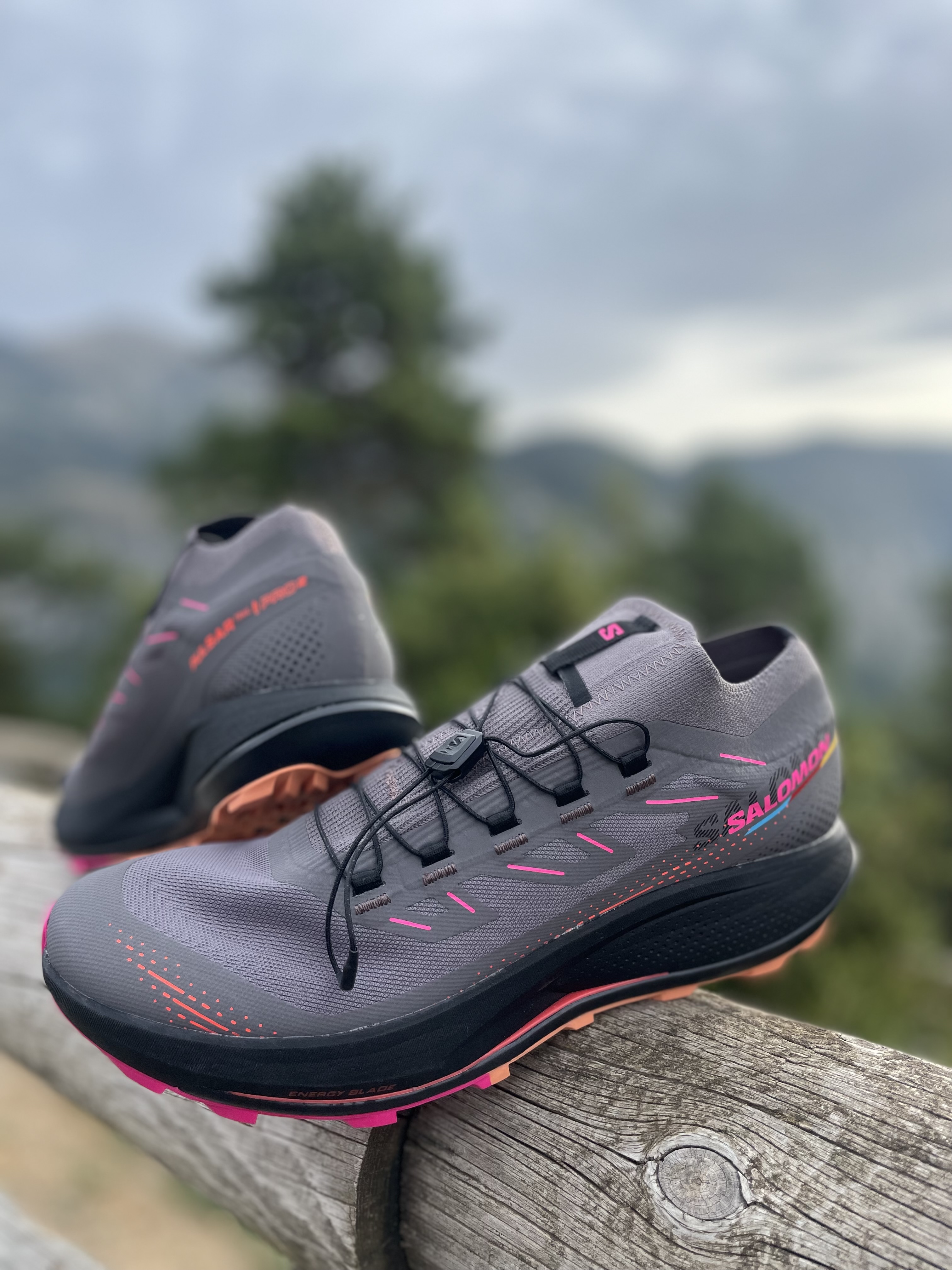 Pulsar Pro Trail 2