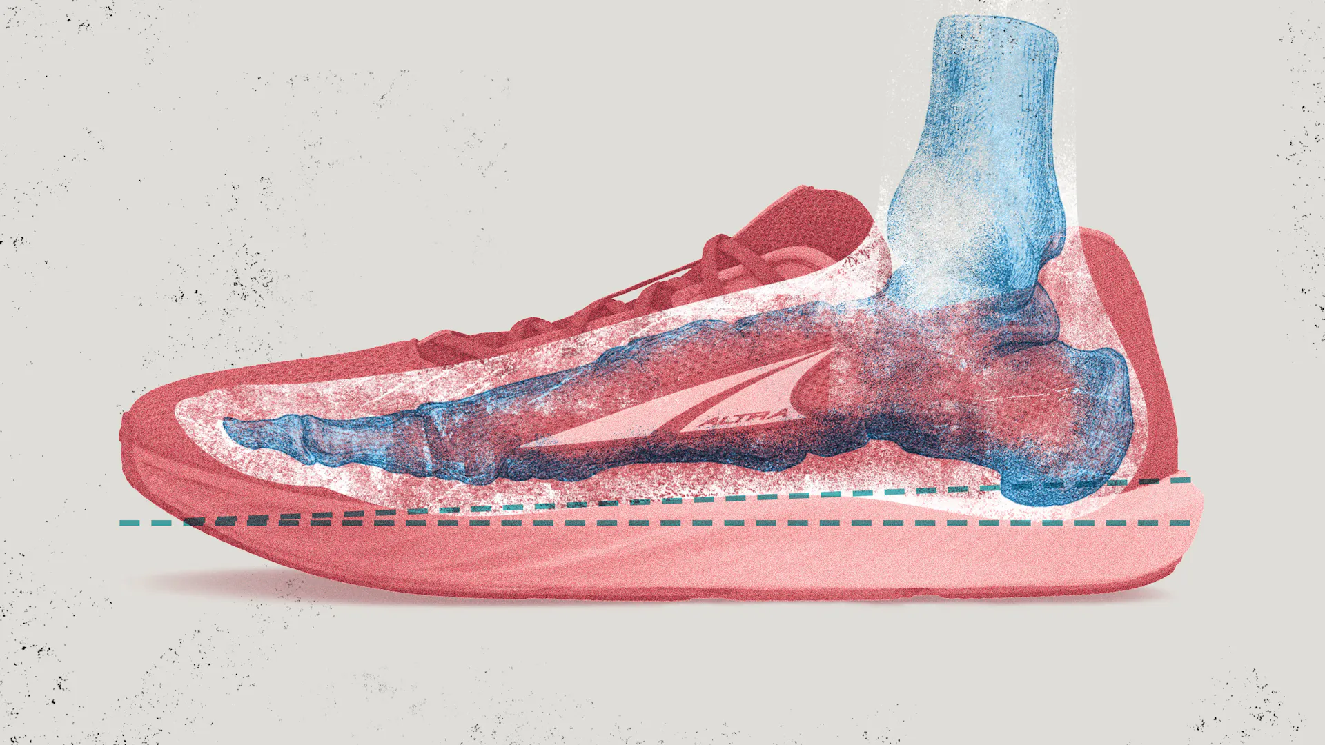 Altra zero-to-low drop graphic