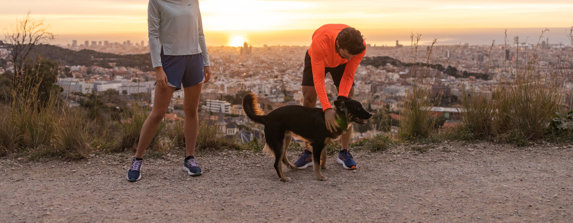 a-comprehensive-guide-to-running-with-your-dog