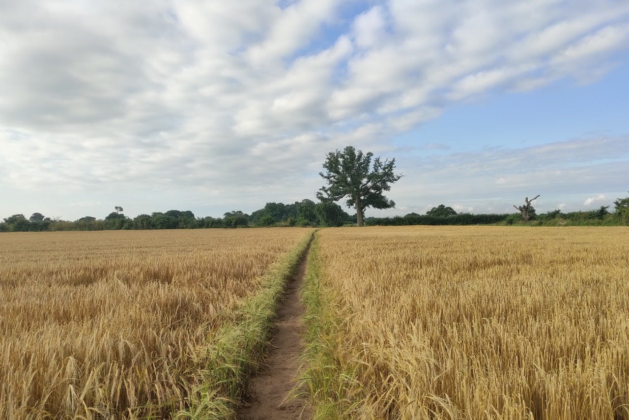inspirational-trails-26-the-stour-valley-path