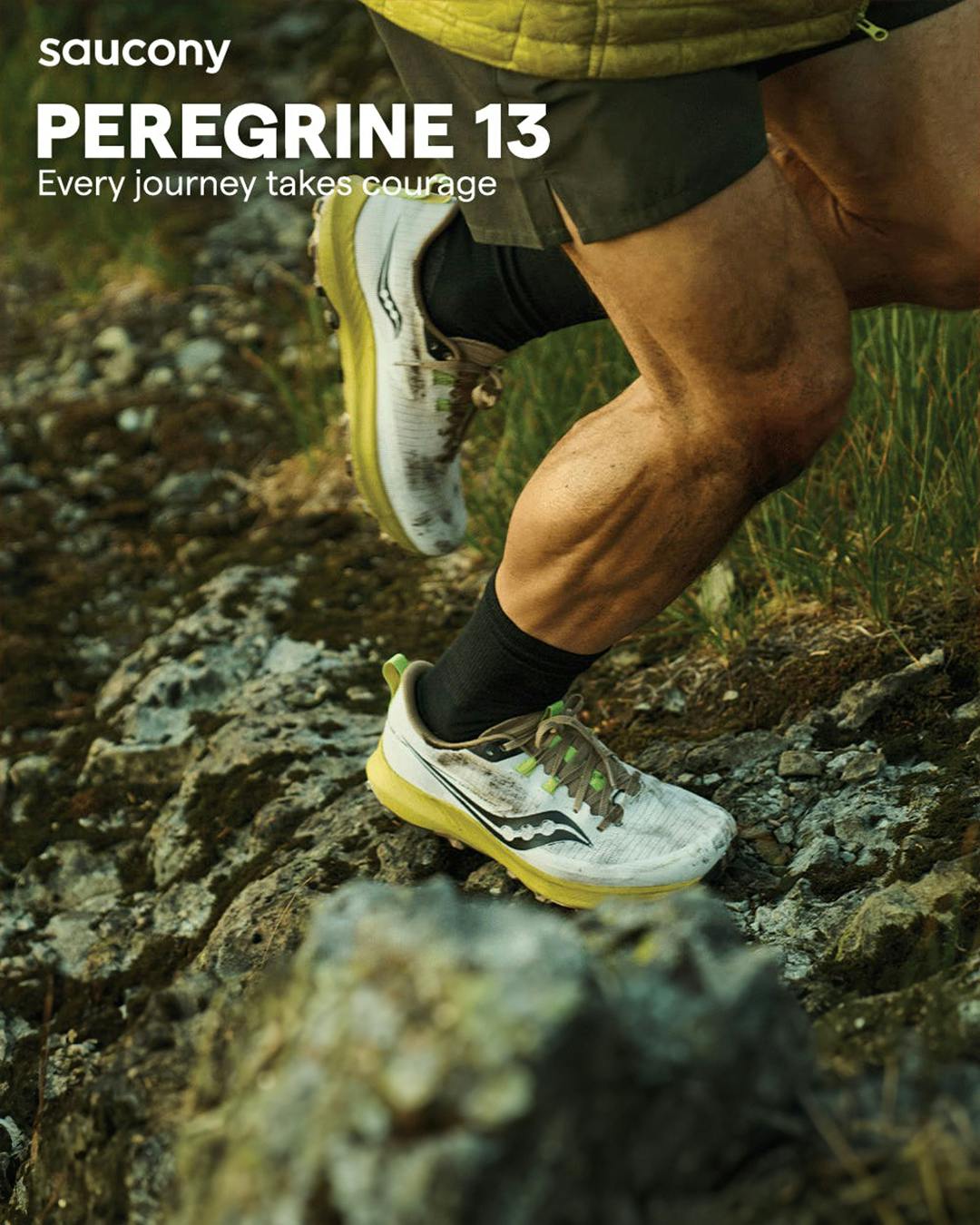Peregrine 13