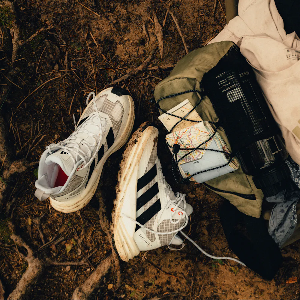 adidas Terrex hiking shoes