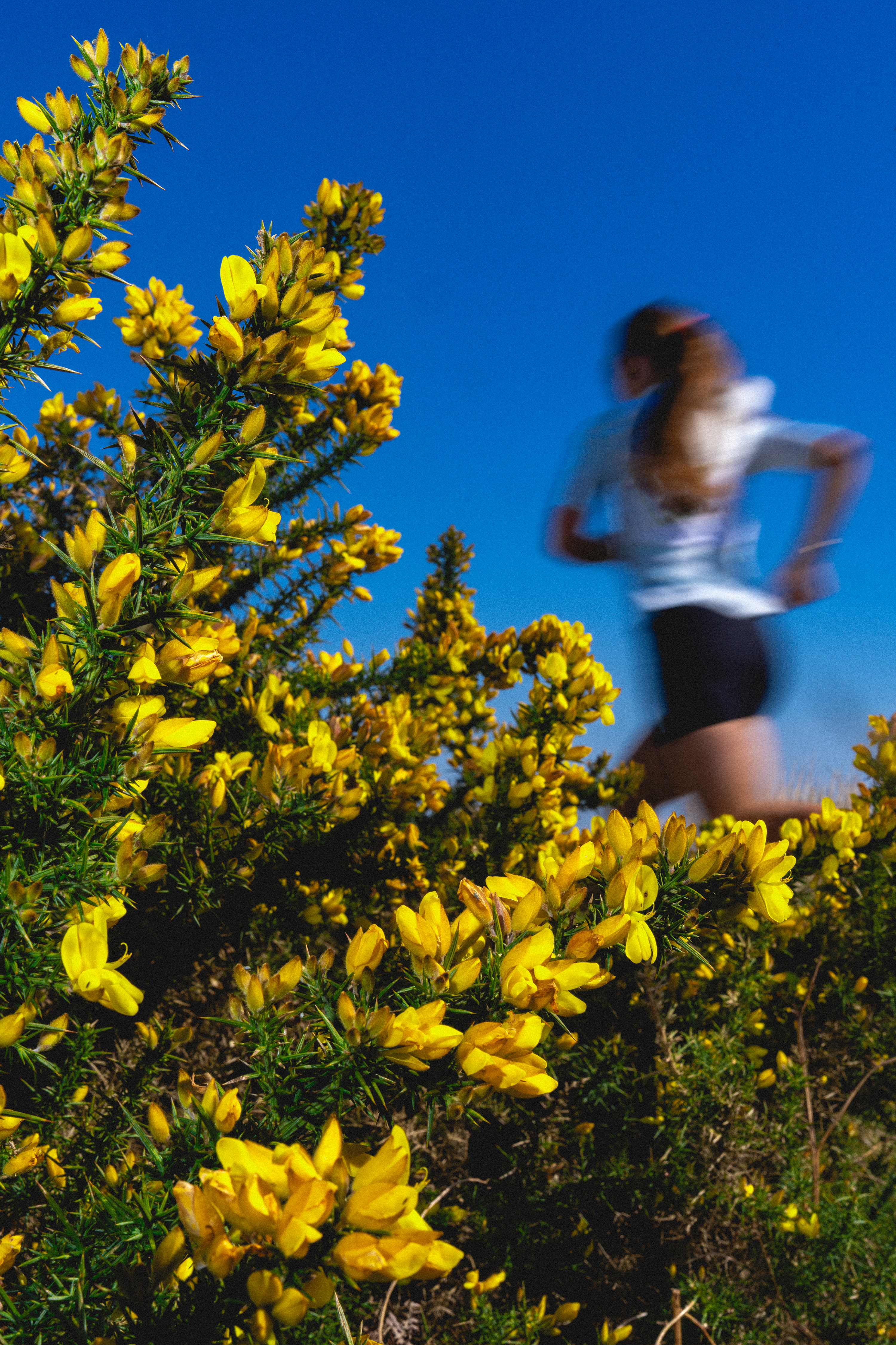 Women's trail running shoes