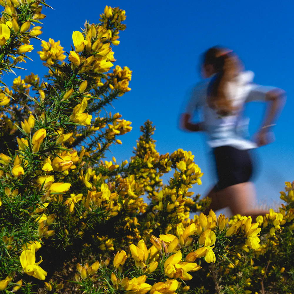 Women's trail running shoes