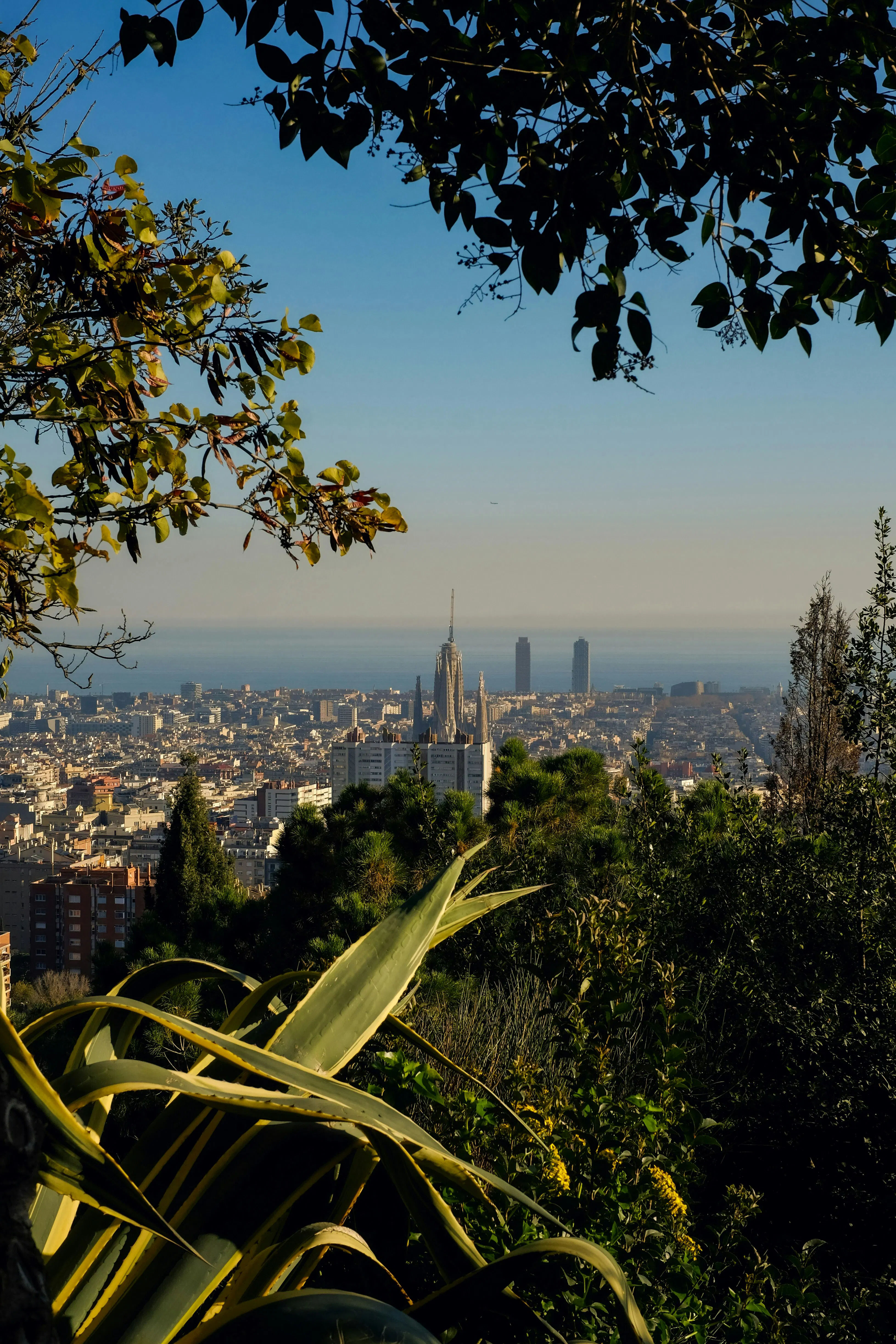 Spanish houses in Barcelona.