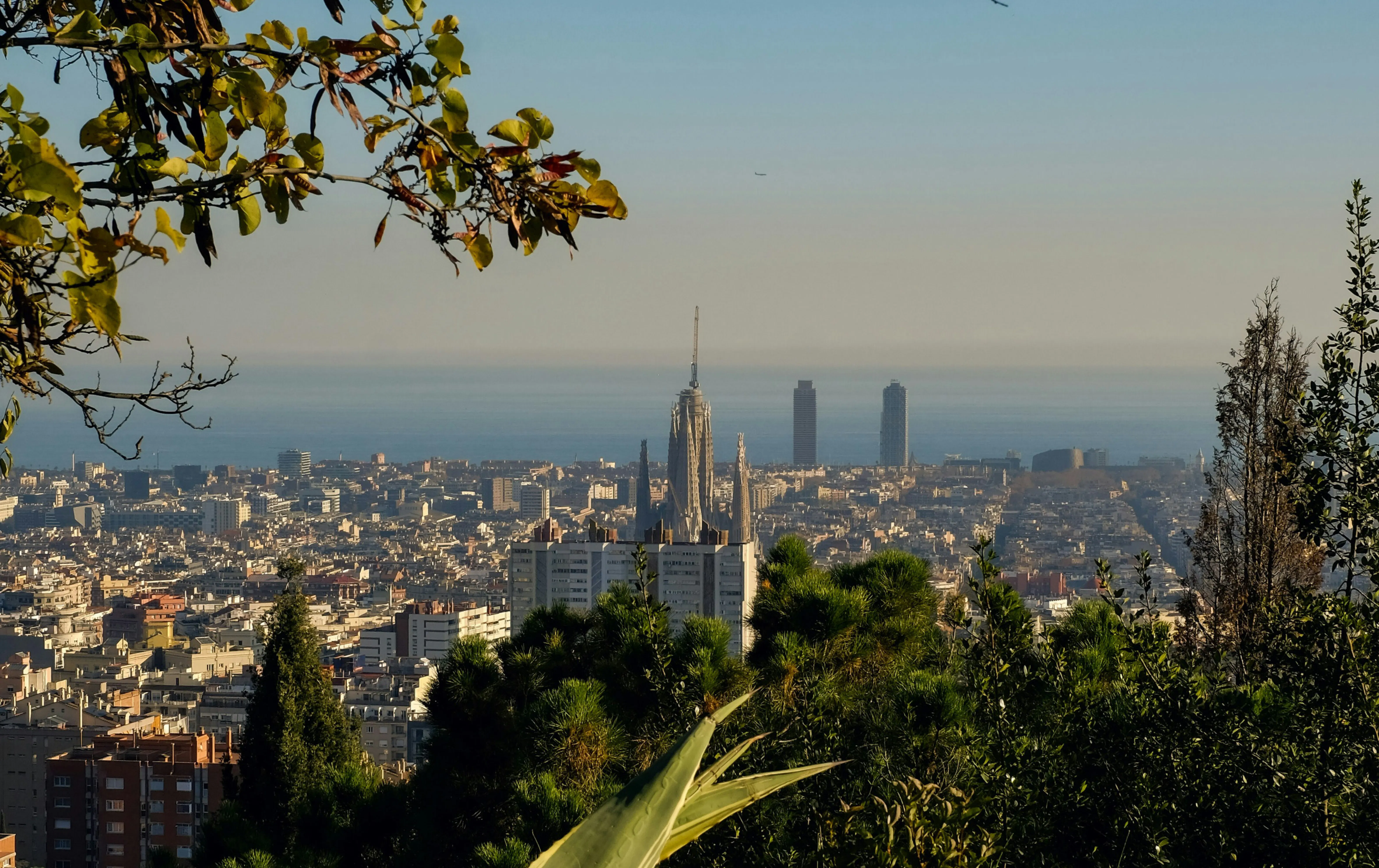 Vista aérea del patrón ortogonal de bloques residenciales del Eixample, Barcelona, representativos de las zonas tensionadas sujetas a los nuevos límites de compra especulativa de la propuesta de 2026.