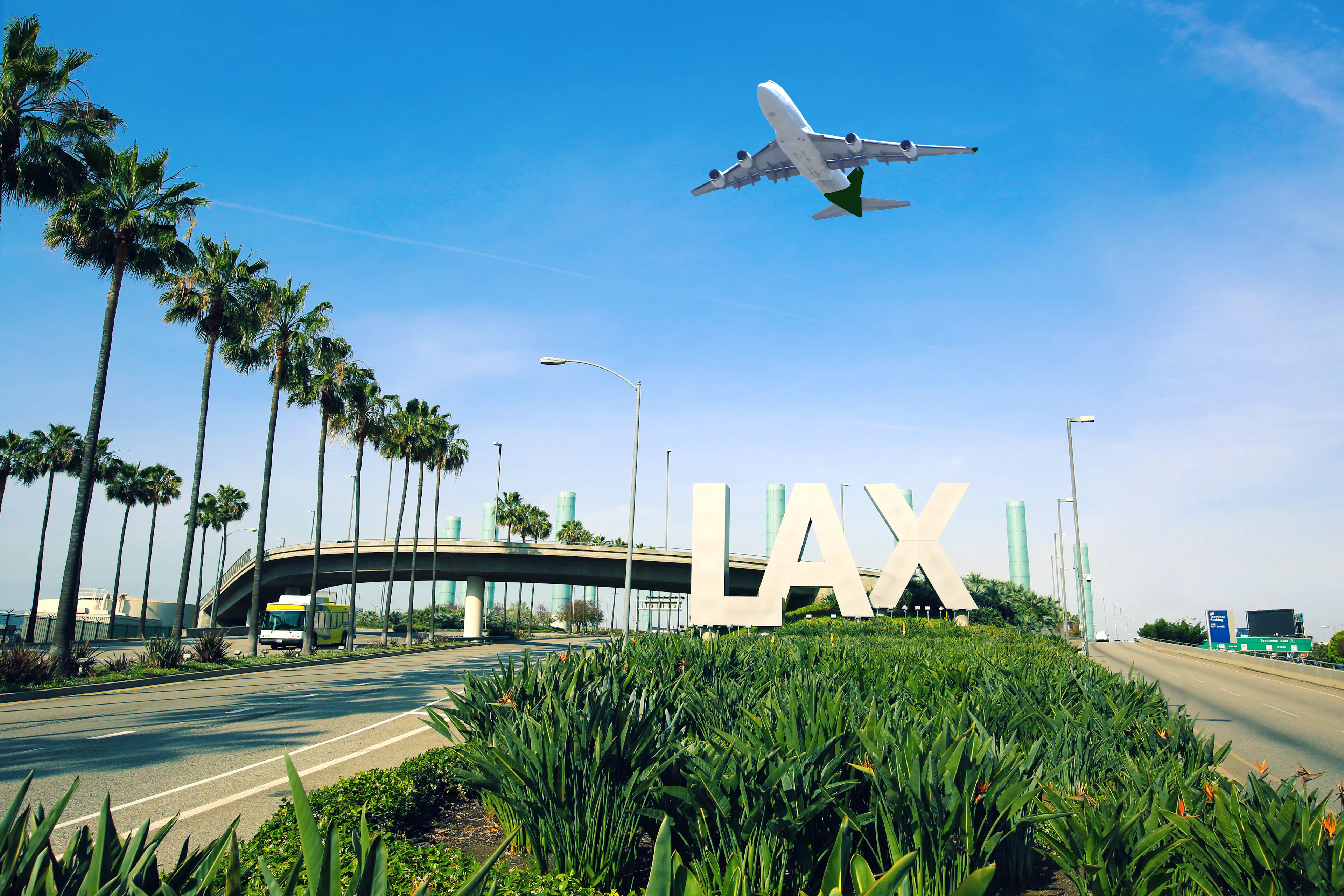LAX hero image