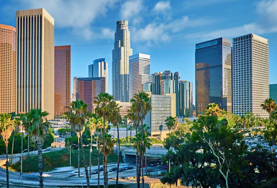LA Skyline
