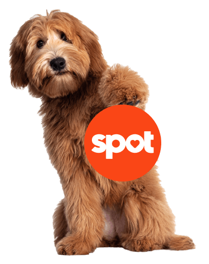 Dog with Spot logo