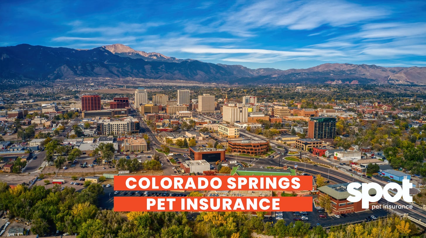 a picture of the city colorado springs with mountains in the background