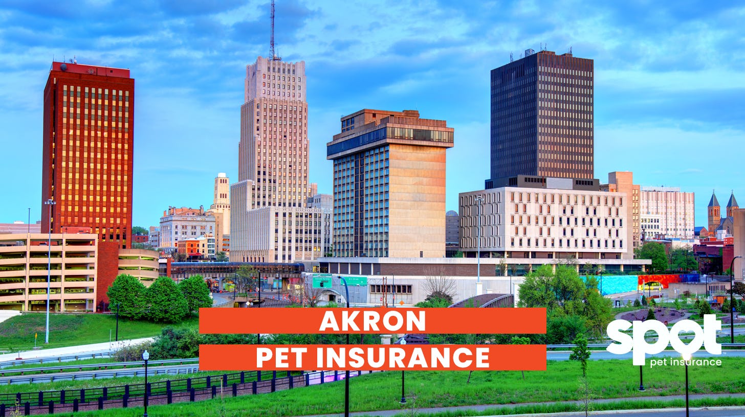 a picture of buildings in the city of akron