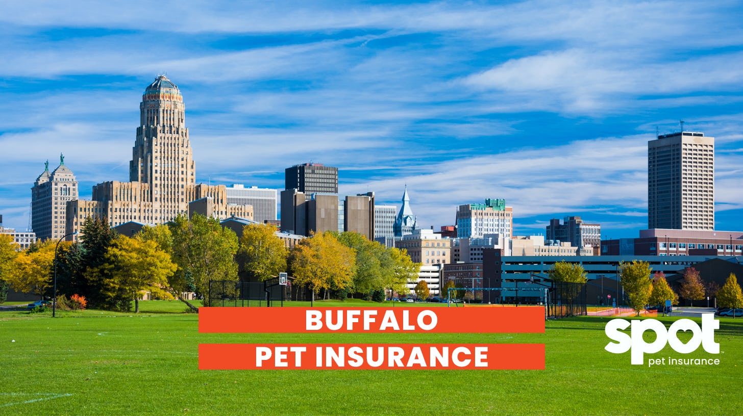 A picture of buildings behind a field and a bright blue sky