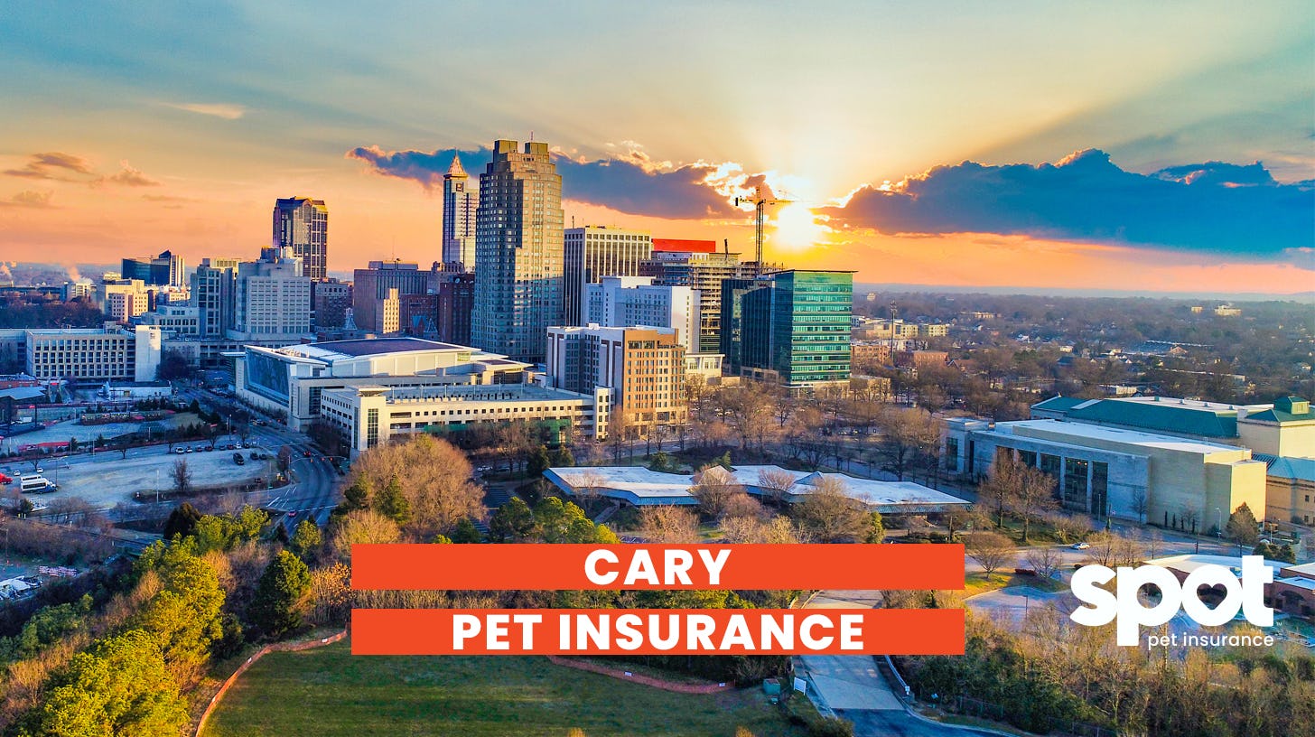 a picture of buildings with sun rising in the background