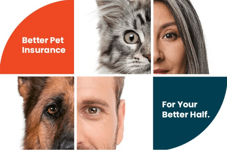 Better Pet Insurance For Your Better Half.