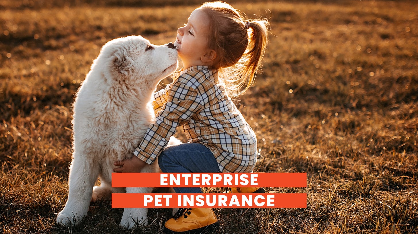 A young girl and her dog