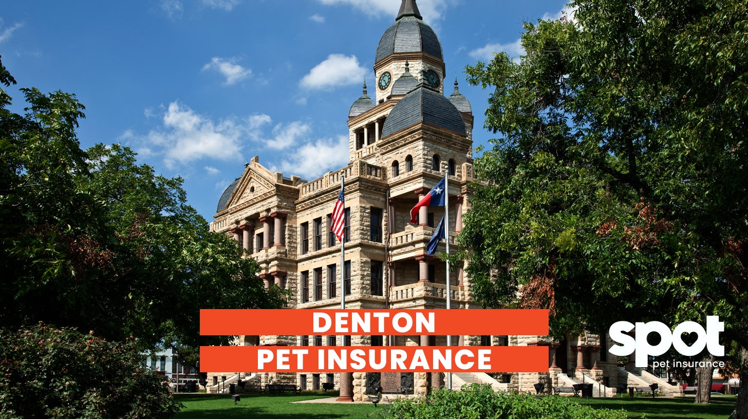 a picture of a building in denton