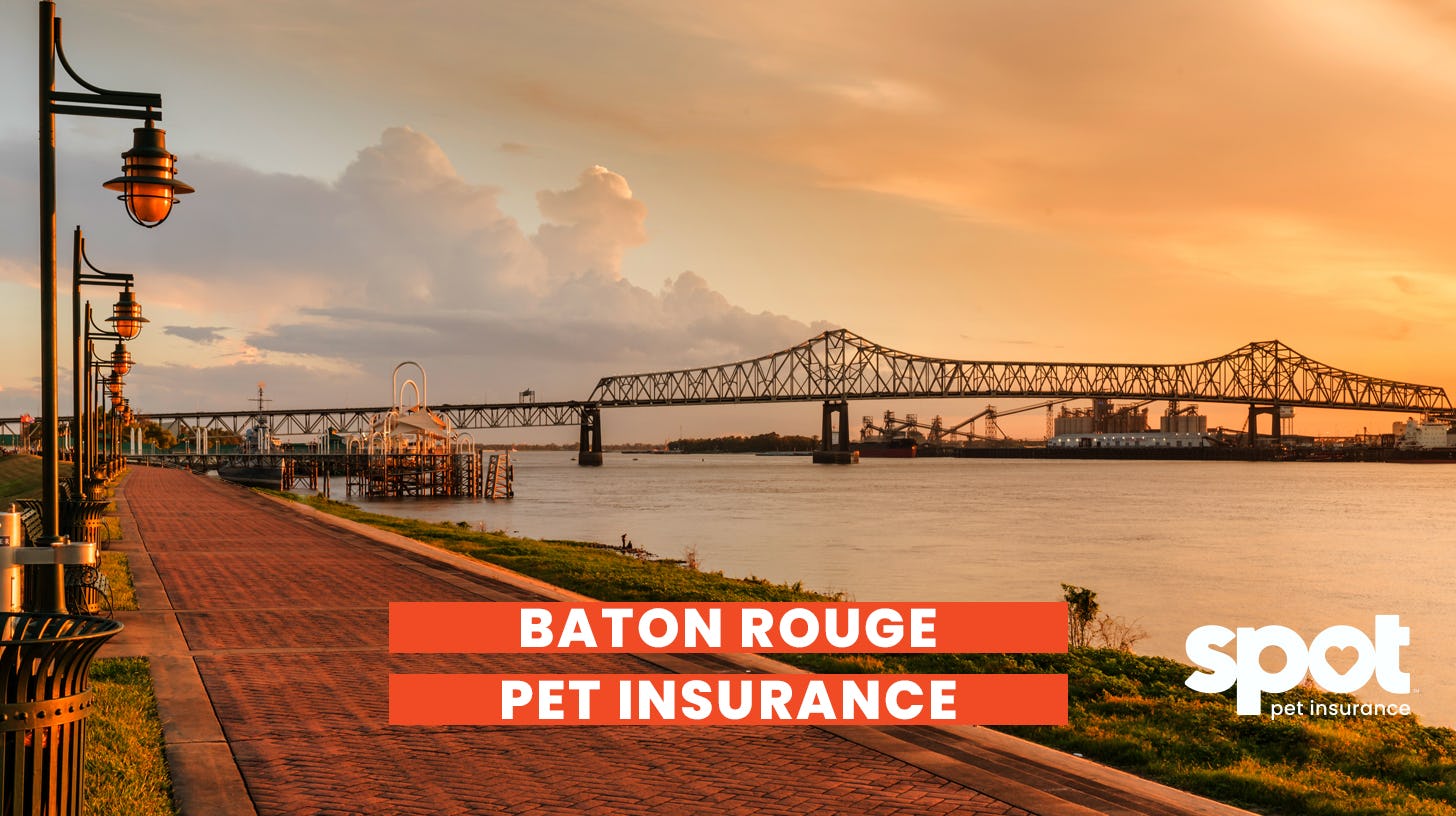 A picture on the boardwalk overlooking a bridge and the sunrise