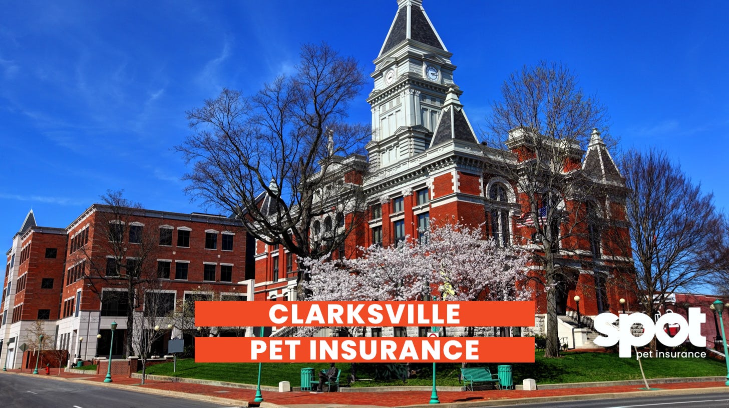 a picture of a building in clarksville